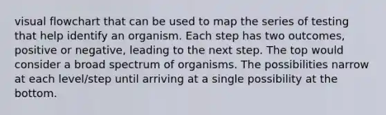 visual flowchart that can be used to map the series of testing that help identify an organism. Each step has two outcomes, positive or negative, leading to the next step. The top would consider a broad spectrum of organisms. The possibilities narrow at each level/step until arriving at a single possibility at the bottom.