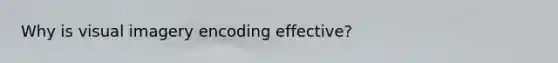 Why is visual imagery encoding effective?