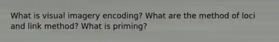 What is visual imagery encoding? What are the method of loci and link method? What is priming?