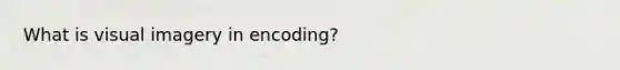 What is visual imagery in encoding?