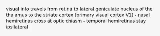 visual info travels from retina to lateral geniculate nucleus of the thalamus to the striate cortex (primary visual cortex V1) - nasal hemiretinas cross at optic chiasm - temporal hemiretinas stay ipsilateral