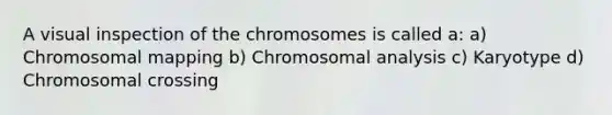 A visual inspection of the chromosomes is called a: a) Chromosomal mapping b) Chromosomal analysis c) Karyotype d) Chromosomal crossing