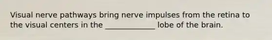 Visual nerve pathways bring nerve impulses from the retina to the visual centers in the _____________ lobe of the brain.