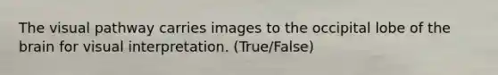 The visual pathway carries images to the occipital lobe of the brain for visual interpretation. (True/False)