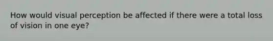 How would visual perception be affected if there were a total loss of vision in one eye?