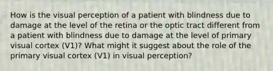 How is the visual perception of a patient with blindness due to damage at the level of the retina or the optic tract different from a patient with blindness due to damage at the level of primary visual cortex (V1)? What might it suggest about the role of the primary visual cortex (V1) in visual perception?