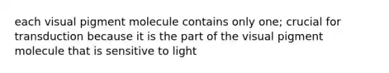 each visual pigment molecule contains only one; crucial for transduction because it is the part of the visual pigment molecule that is sensitive to light