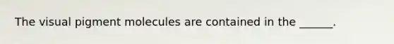 The visual pigment molecules are contained in the ______.