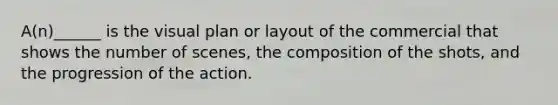 A(n)______ is the visual plan or layout of the commercial that shows the number of scenes, the composition of the shots, and the progression of the action.