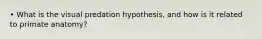 • What is the visual predation hypothesis, and how is it related to primate anatomy?