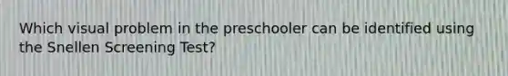 Which visual problem in the preschooler can be identified using the Snellen Screening Test?