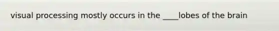 visual processing mostly occurs in the ____lobes of the brain