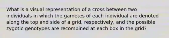 What is a visual representation of a cross between two individuals in which the gametes of each individual are denoted along the top and side of a grid, respectively, and the possible zygotic genotypes are recombined at each box in the grid?