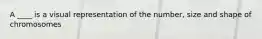 A ____ is a visual representation of the number, size and shape of chromosomes