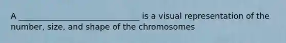 A ______________________________ is a visual representation of the number, size, and shape of the chromosomes