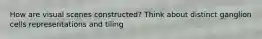 How are visual scenes constructed? Think about distinct ganglion cells representations and tiling