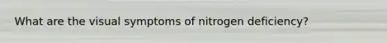 What are the visual symptoms of nitrogen deficiency?