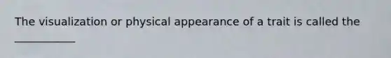 The visualization or physical appearance of a trait is called the ___________