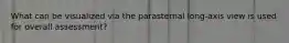 What can be visualized via the parasternal long-axis view is used for overall assessment?