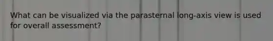 What can be visualized via the parasternal long-axis view is used for overall assessment?