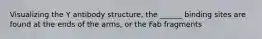 Visualizing the Y antibody structure, the ______ binding sites are found at the ends of the arms, or the Fab fragments