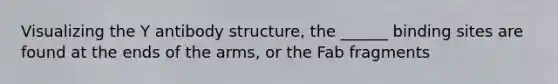 Visualizing the Y antibody structure, the ______ binding sites are found at the ends of the arms, or the Fab fragments