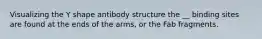 Visualizing the Y shape antibody structure the __ binding sites are found at the ends of the arms, or the Fab fragments.