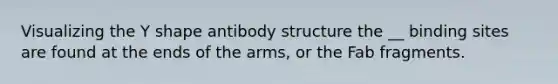 Visualizing the Y shape antibody structure the __ binding sites are found at the ends of the arms, or the Fab fragments.