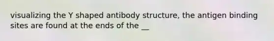 visualizing the Y shaped antibody structure, the antigen binding sites are found at the ends of the __