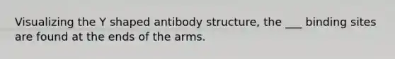 Visualizing the Y shaped antibody structure, the ___ binding sites are found at the ends of the arms.