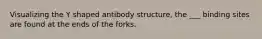 Visualizing the Y shaped antibody structure, the ___ binding sites are found at the ends of the forks.