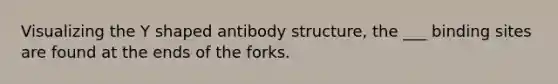 Visualizing the Y shaped antibody structure, the ___ binding sites are found at the ends of the forks.