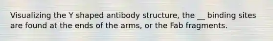 Visualizing the Y shaped antibody structure, the __ binding sites are found at the ends of the arms, or the Fab fragments.