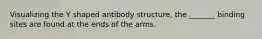 Visualizing the Y shaped antibody structure, the _______ binding sites are found at the ends of the arms.