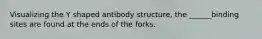 Visualizing the Y shaped antibody structure, the ______binding sites are found at the ends of the forks.