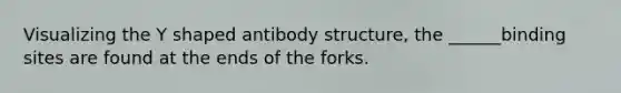 Visualizing the Y shaped antibody structure, the ______binding sites are found at the ends of the forks.