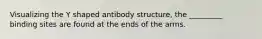 Visualizing the Y shaped antibody structure, the _________ binding sites are found at the ends of the arms.