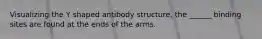 Visualizing the Y shaped antibody structure, the ______ binding sites are found at the ends of the arms.