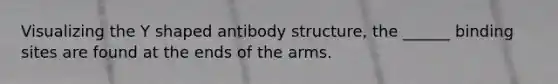 Visualizing the Y shaped antibody structure, the ______ binding sites are found at the ends of the arms.