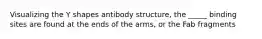 Visualizing the Y shapes antibody structure, the _____ binding sites are found at the ends of the arms, or the Fab fragments
