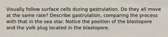 Visually follow surface cells during gastrulation. Do they all move at the same rate? Describe gastrulation, comparing the process with that in the sea star. Notice the position of the blastopore and the yolk plug located in the blastopore.