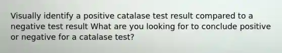 Visually identify a positive catalase test result compared to a negative test result What are you looking for to conclude positive or negative for a catalase test?