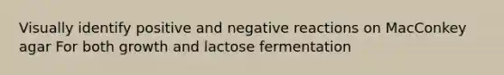 Visually identify positive and negative reactions on MacConkey agar For both growth and lactose fermentation