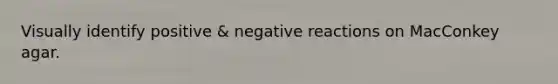 Visually identify positive & negative reactions on MacConkey agar.