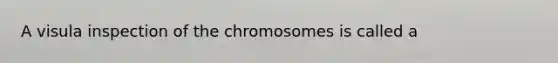 A visula inspection of the chromosomes is called a