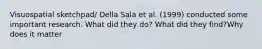 Visuospatial sketchpad/ Della Sala et al. (1999) conducted some important research. What did they do? What did they find?Why does it matter