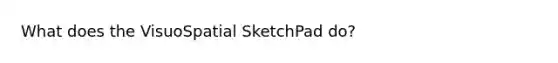 What does the VisuoSpatial SketchPad do?