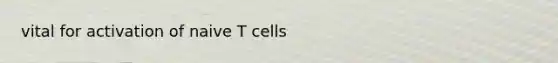 vital for activation of naive T cells