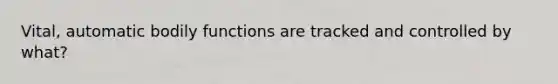 Vital, automatic bodily functions are tracked and controlled by what?