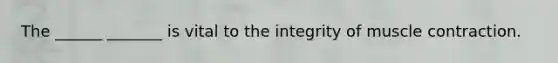 The ______ _______ is vital to the integrity of muscle contraction.